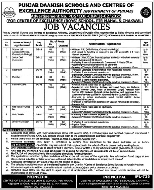 Punjab Daanish Schools Jobs 2025, Non-Academic Staff Vacancies, Pir Mahal & Chakwal Jobs