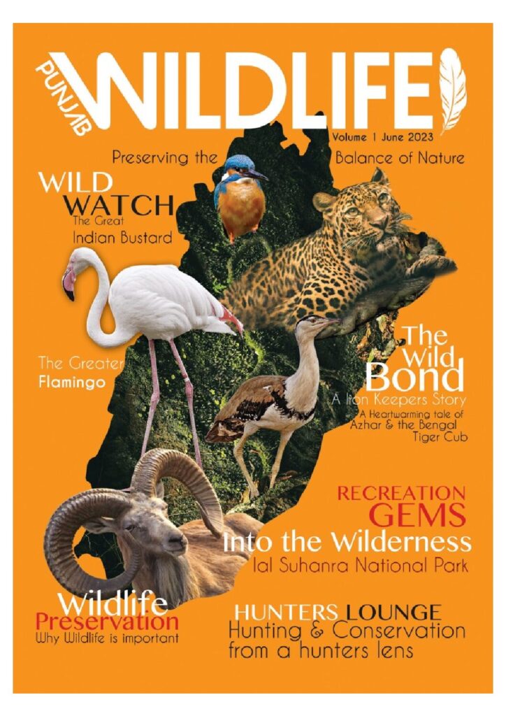 Communication Lead Job Punjab Wildlife